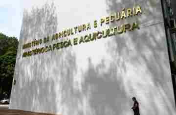  Sete casos de doenças respiratórias em aves são investigados no país 